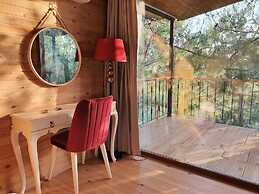 Rocas Roja Beach Hotel