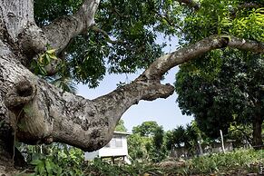 Backpackers Paradise