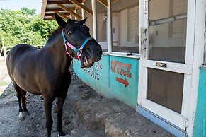 Backpackers Paradise