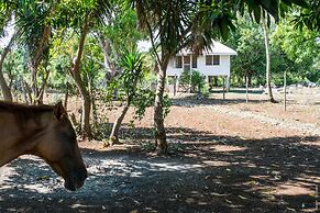 Backpackers Paradise