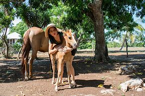 Backpackers Paradise