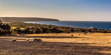 Antechamber Bay Retreats