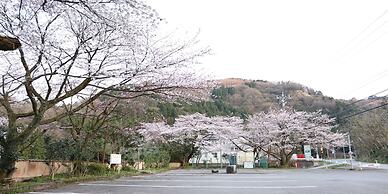 Yamanaka Spa Hanatsubaki