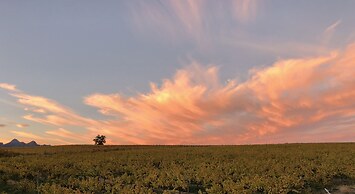 Wellington Country House