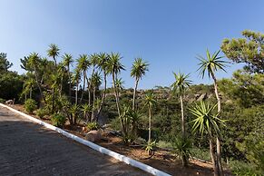 Ferma Hill Apartments