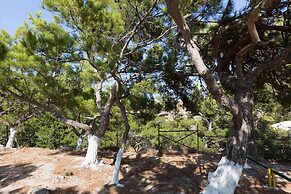 Ferma Hill Apartments