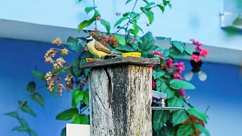 Velinn Pousada Remanso do Mar