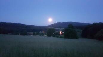 Eventhof Platzhirsch