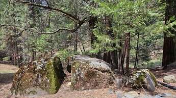 Scenic Wonders Evergreen Cabin 3 Bedroom