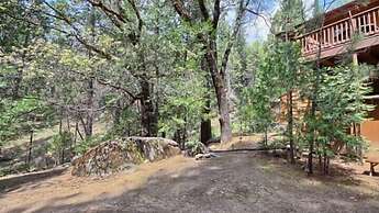 Scenic Wonders Evergreen Cabin 3 Bedroom