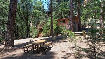 Scenic Wonders Evergreen Cabin 3 Bedroom