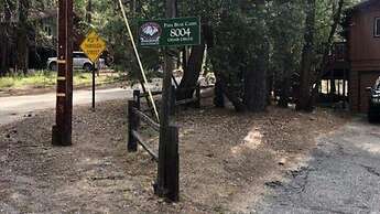 Scenic Wonders Papa Bear Cabin 3 bedroom