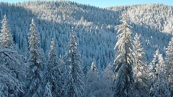 Scenic Wonders Birds Eye Vista 3 Bedroom