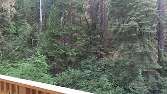 Scenic Wonders Dogwood Manor 3 Bedrooms