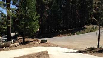 Scenic Wonders Mystic View 3 Bedrooms