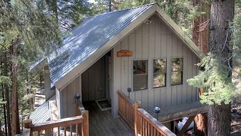 Scenic Wonders Treehouse Lodge 2 Bedroom