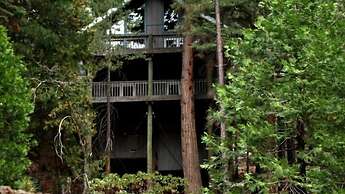Scenic Wonders Treehouse Lodge 2 Bedroom