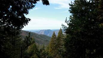 Scenic Wonders Treehouse Lodge 2 Bedroom