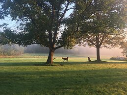 Mallard Cottage - Pet friendly