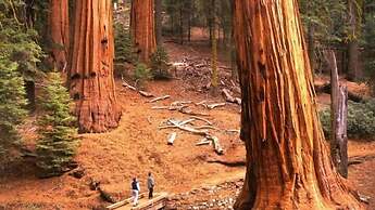 Scenic Wonders Yosemite View 3 Bedrooms