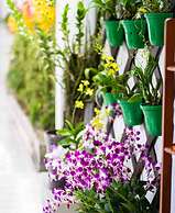 Orchid Garden Homestay Can Tho