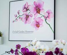 Orchid Garden Homestay Can Tho