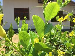 Kalindu Residence