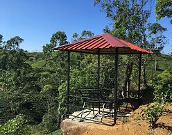 The Harrington Heritage Bungalow