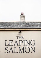 The Leaping Salmon