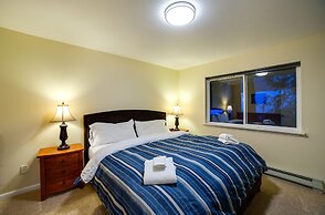 62SL - Hot Tub - WiFi - Fireplace - Pets Ok - Sleeps 6