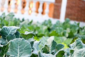 Hotel Fazenda Casarão do Vale