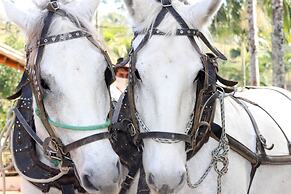 Hotel Fazenda Casarão do Vale