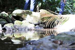 Hotel Fazenda Casarão do Vale
