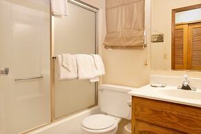 Brown Bears Cabin #1091