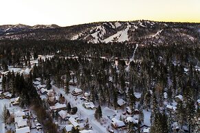 Beary FUN Escape #1445