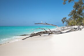 Cool Bananas Backpackers