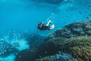 Cool Bananas Backpackers