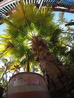 Cool Bananas Backpackers