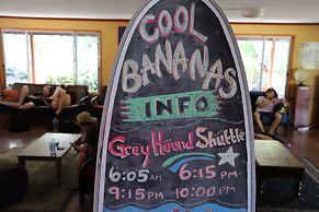Cool Bananas Backpackers