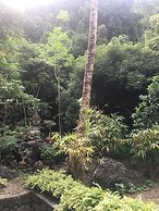 Kahanamoku Bed & Breakfast