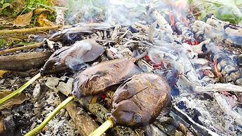 Panorama Backpackers