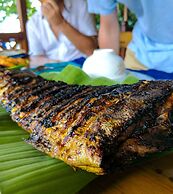 Panorama Backpackers