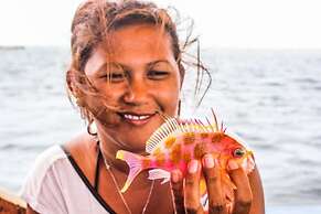 Panorama Backpackers