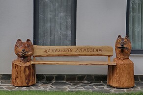 Pensiunea Maramures Landscape