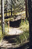 Juniper Lodge & Treehouses