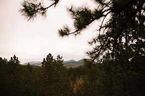 Juniper Lodge & Treehouses