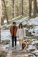 Juniper Lodge & Treehouses