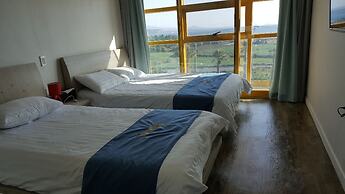 The Freedom - Hostel