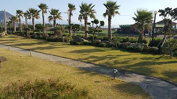 The Freedom - Hostel