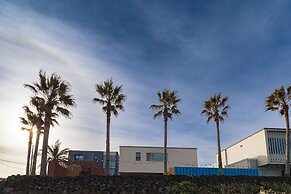 Namib Pool Villa Jeju